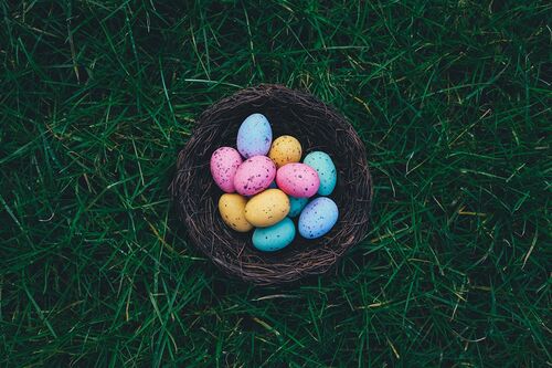 unsplash.com /Annie Spratt